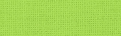 466 Neon Green, barwnik do tkanin iDye Poly, 14 g