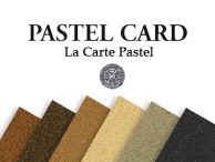 Arkusze Sennelier Pastel Card