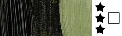 620 S2 Olive Green, farba olejna Rembrandt 40 ml