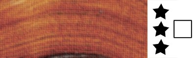 273 Transparent Oxide Orange, Rembrandt acrylic 40 ml