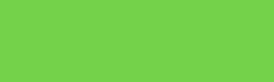 556 Light green, tempera Liquid 500ml