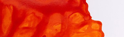 449 Orange, tusz rysunkowy Winsor &amp; Newton, 14ml