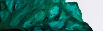692 Viridian, tusz rysunkowy Winsor &amp; Newton, 14ml