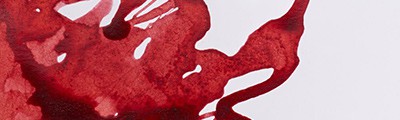 040 Brick red, tusz rysunkowy Winsor &amp; Newton, 14ml
