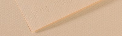 112 Eggshell, Mi-Teintes  Canson 50 x 65cm