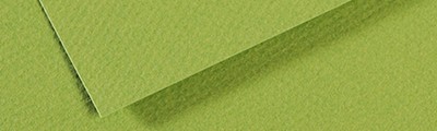 475 Apple Green, Mi-Teintes Canson 50 x 65 cm