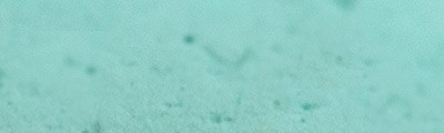 351 Cinereous green, pastel sucha a l' ecu Sennelier