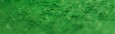 229 Chromium green, pastel sucha a l' ecu Sennelier