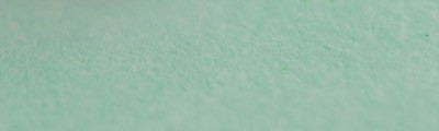 152 Lawn green, pastel sucha a l' ecu Sennelier