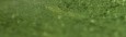 237 Olive green, pastel sucha a l' ecu Sennelier