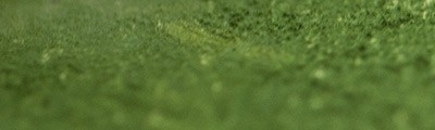 237 Olive green, pastel sucha a l' ecu Sennelier