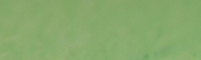 765 Baryte green, pastel sucha a l' ecu Sennelier