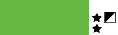 31 Bright green light, farba olejna Oil Master 60ml