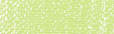 620.8 Olive green, pastel sucha Rembrandt