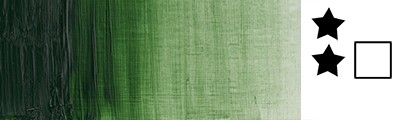 637 Terre verte, Artists' W&amp;N, artystyczna farba olejna 37ml