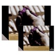 Blok do pasteli DARK Rembrandt, Talens, 30 ark. 160g, A3