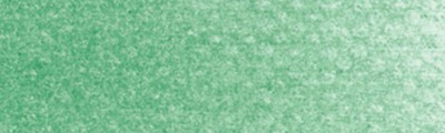 640.5 PanPastel Permanent Green 9ml