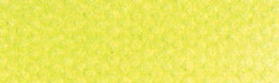 680.5 PanPastel Bright Yellow Green 9ml