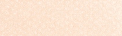 740.8 PanPastel Burnt Sienna Tint 9ml