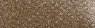 780.5 PanPastel Raw Umber 9ml