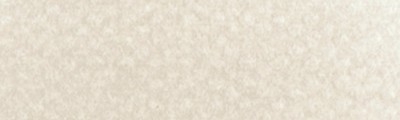 780.8 PanPastel Raw Umber Tint 9ml
