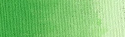 1163 Permanent green light, Williamsburg 37ml.