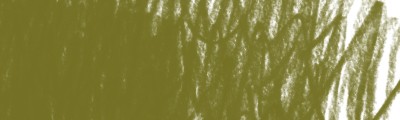 27 Dark olive green, kredka artystyczna Polycolor