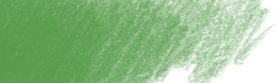 267 Pine green, Polychromos kredka artystyczna