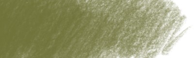 173 Olive green yellowish, Polychromos kredka artystyczna