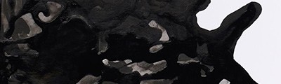 030 Black indian ink, tusz rysunkowy Winsor &amp; Newton, 250ml