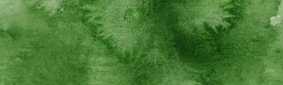 58 Ever Green, farba akwarelowa Gansai Tambi, Kuretake