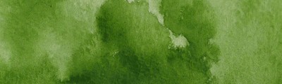 53 Mid Green, farba akwarelowa Gansai Tambi, Kuretake