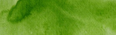 51 Sap Green Lt / May Green, farba akwarelowa Gansai Tambi, Kuretake