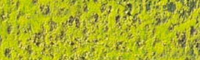 232 Mid. moss green 10%, Pastel Pencil, Caran d'Ache