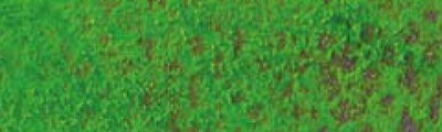 234 Mid. moss green 30%, Pastel Pencil, Caran d'Ache