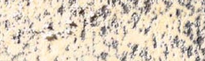 541 Egg Shell / Light flesh 5%, Pastel Pencil, Caran d'Ache