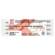 Pisaki kaligraficzne Kuretake, 4 kolory