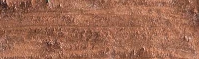 497 Bronze, pastel olejna Neopastel