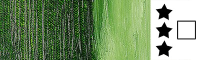 214F Sap Green, farba olejna w sztyfcie R&amp;F