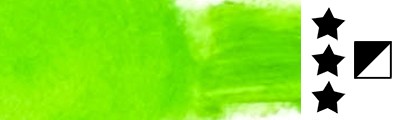 21 Zieleń Trwała, Oil Solid Renesans 40 ml