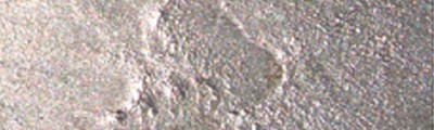 Rose Gold – Liquid Bronze marki Renesans, 125 ml