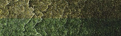 625 Interference Green-Orange Shift, farba akwarelowa QoR, Golden, 11 ml