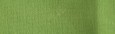3019 Pistachio Green, kryjąca farba do tkanin Rich, 50 ml