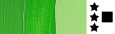 312 Light green permanent, farba akrylowa Liquitex 250 ml