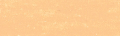 542 Butternut, woskowo-olejna pastel Neoart 6901