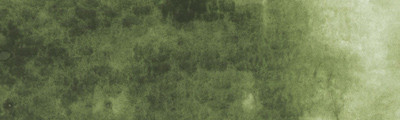 504 Green Gray, farba akwarelowa Gansai Tambi, Kuretake