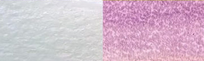 634 Opal Pink, farba akwarelowa Gansai Tambi, Kuretake