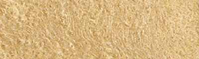 904 Champagne Gold, farba akwarelowa Gansai Tambi, Kuretake
