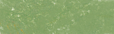 173 Moss Grey Green, Pastel Pencil Sennelier