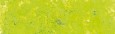205 Apple Green, Pastel Pencil Sennelier